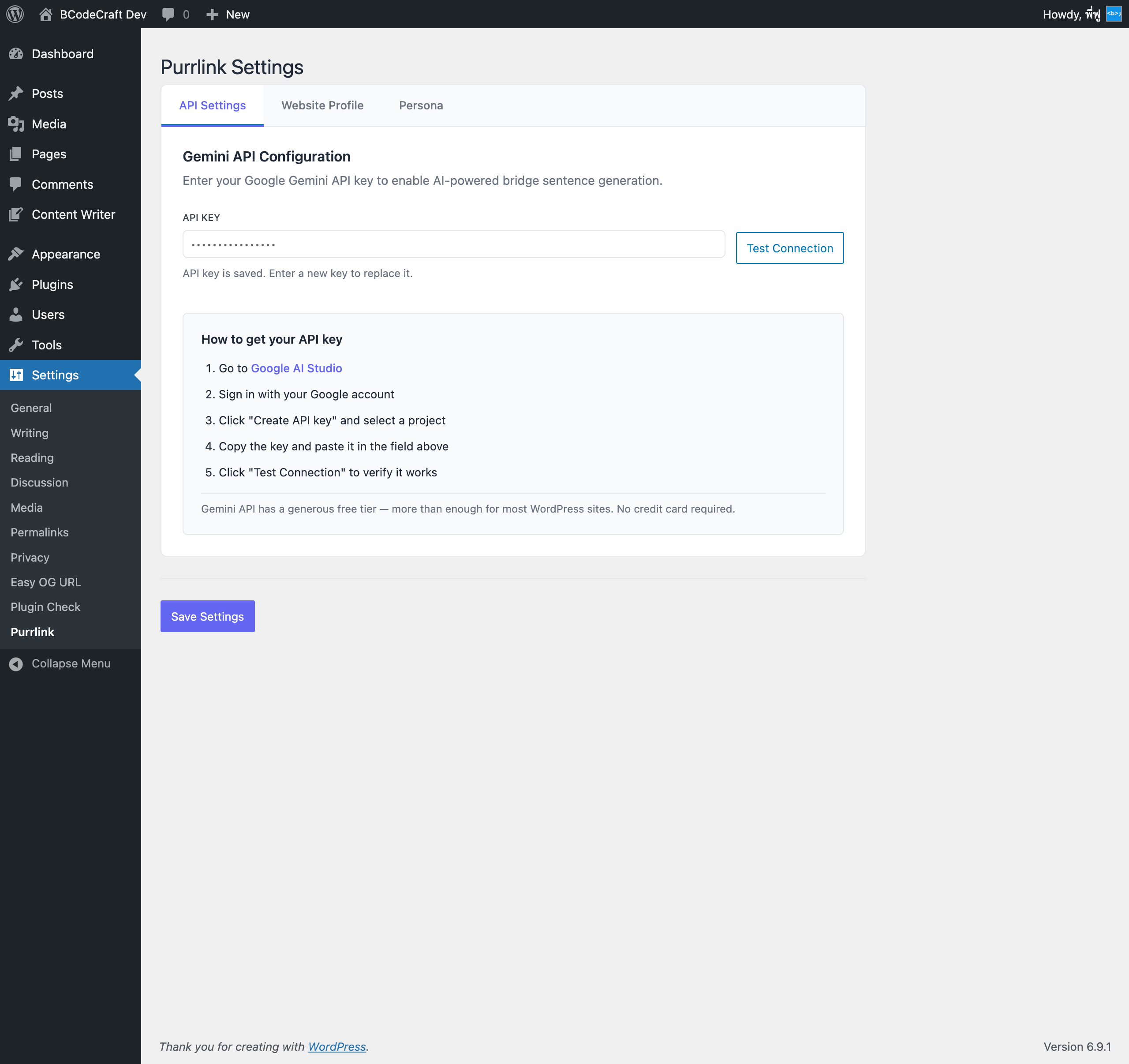 Settings page - API configuration with setup guide