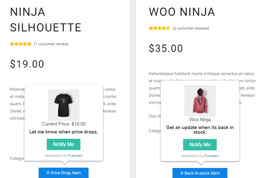 WooCommerce Price Drop and In-Stock Notifications