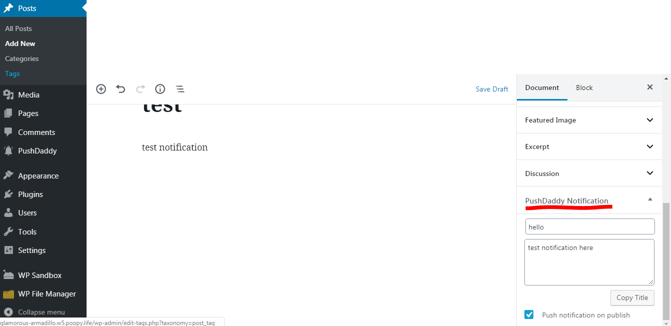 send notifications from new post while publishing.