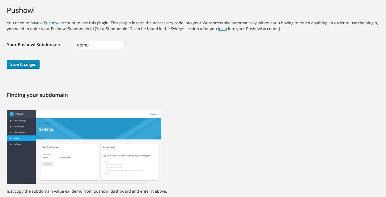 Setup Pushowl by giving a unique subdomain for your wordpress site