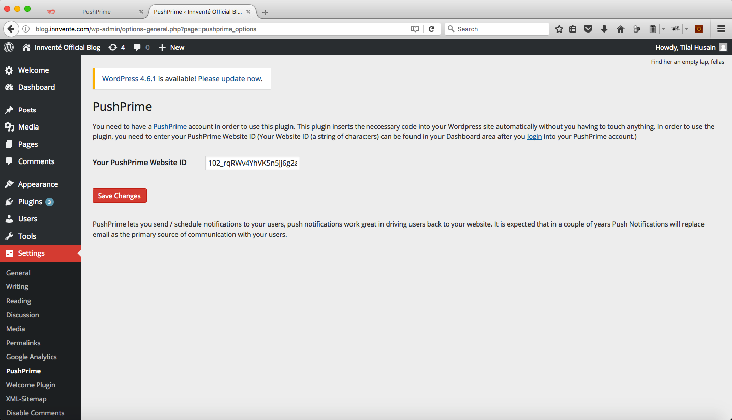Paste it into the 'Your PushPrime Website ID' field on PushPrime settings Page