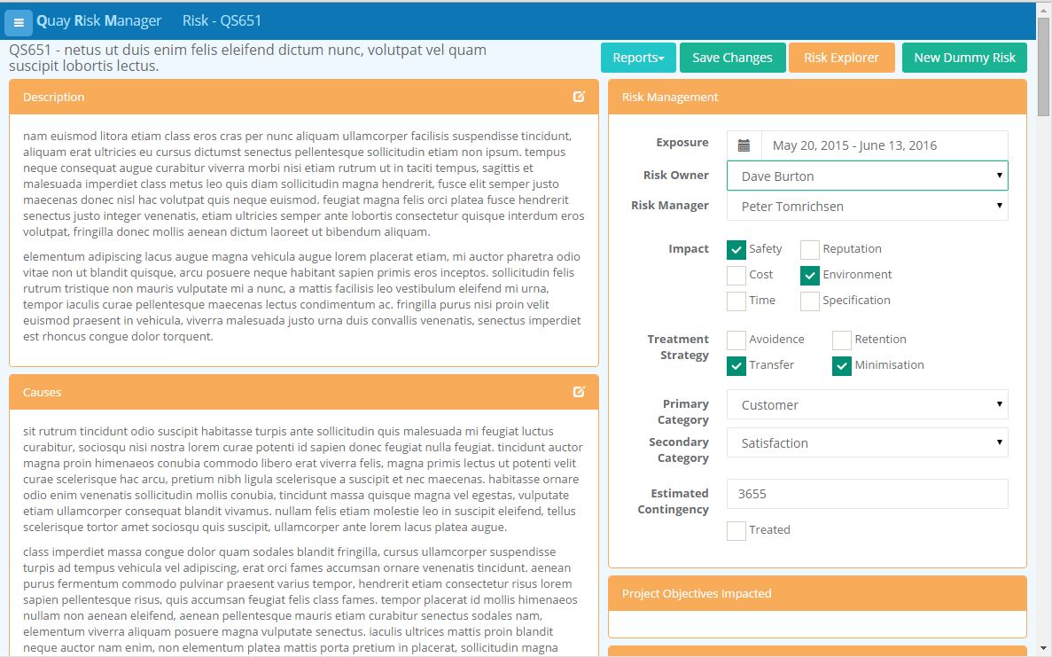 The Risk Editor for viewing or editing risks