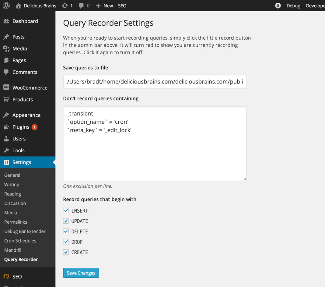Query Recorder settings screen