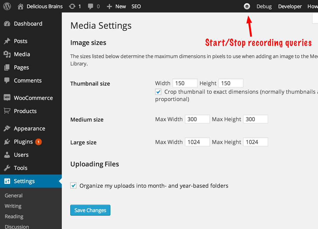Start/stop query recording button