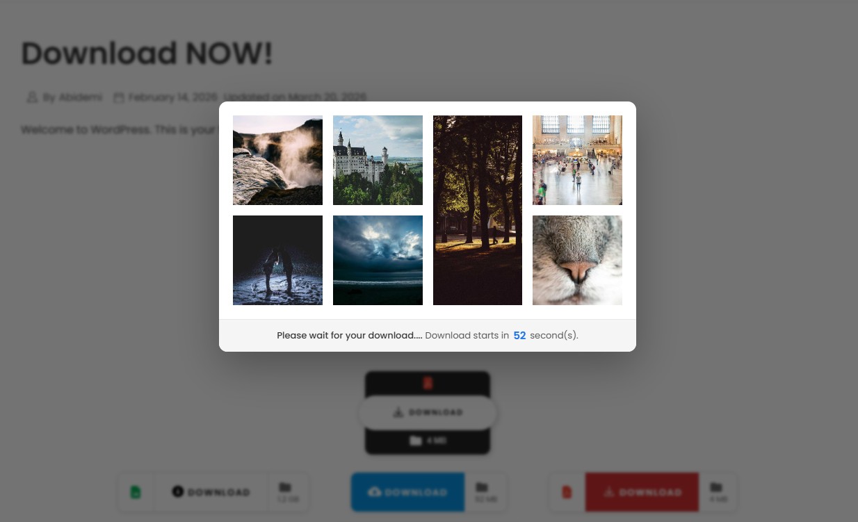 Popup modal during countdown — showing custom content.
