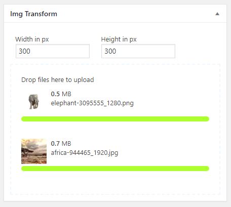 Uploaded files