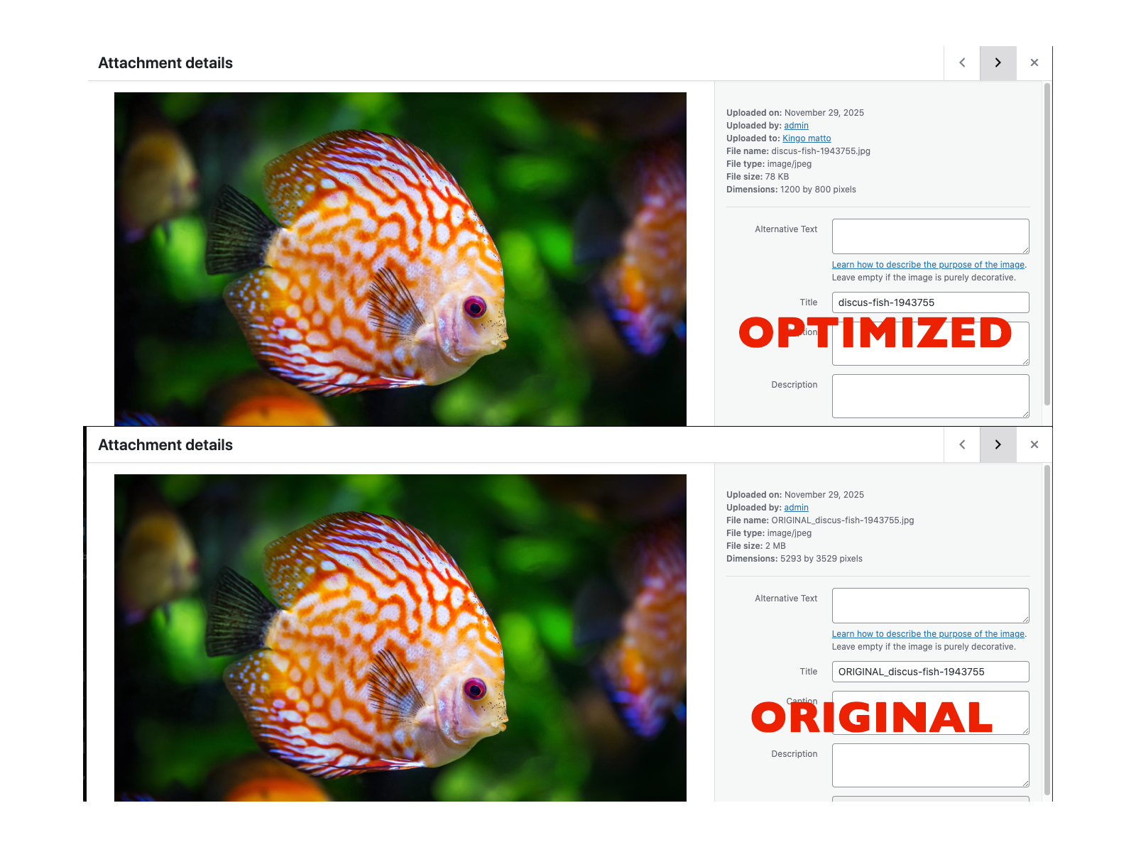 Comparison between the original image 2Mb and the optimized version 79kb. Image width px: 1200, JPG quality 70.