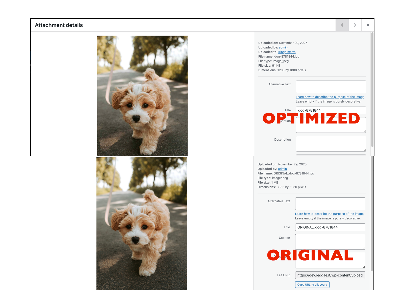 Comparison between the original image 1Mb and the optimized version 91kb. Image width px: 1200, JPG quality 70.