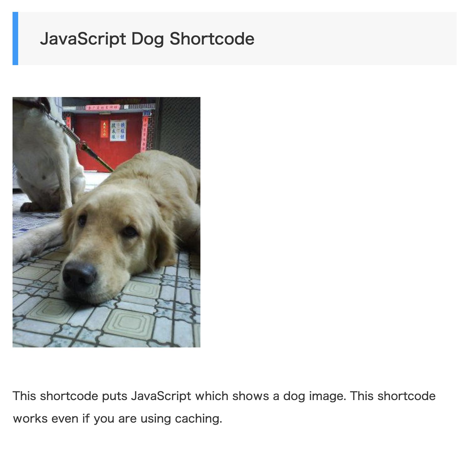 JavaScript shortcode (This works even if caching is enabled.)