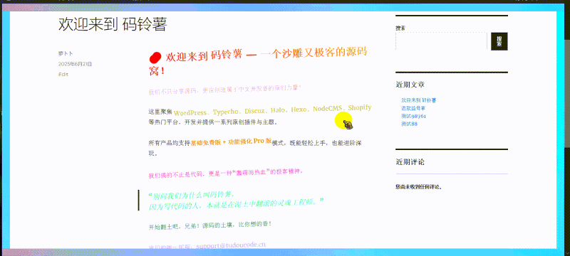 插件设置页面主界面（简洁直观）