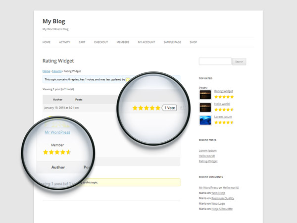 Google 5-star ratings - Rich-Snippets Integration (* Professional Plan)