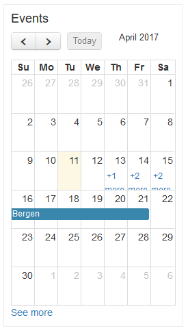 Example of event calendar widget.