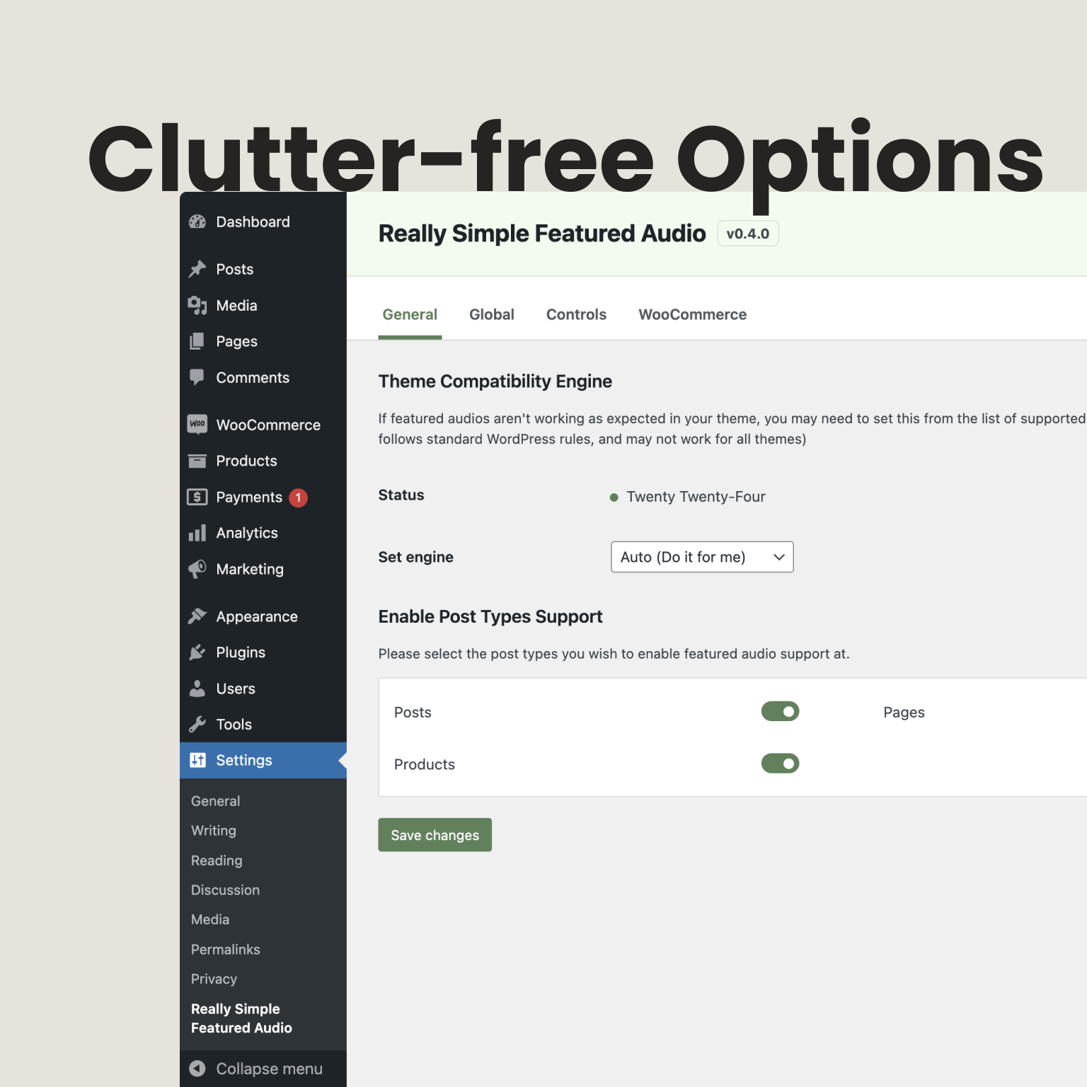 **Settings Panel** - Easy-to-use controls for autoplay, mute, and display options