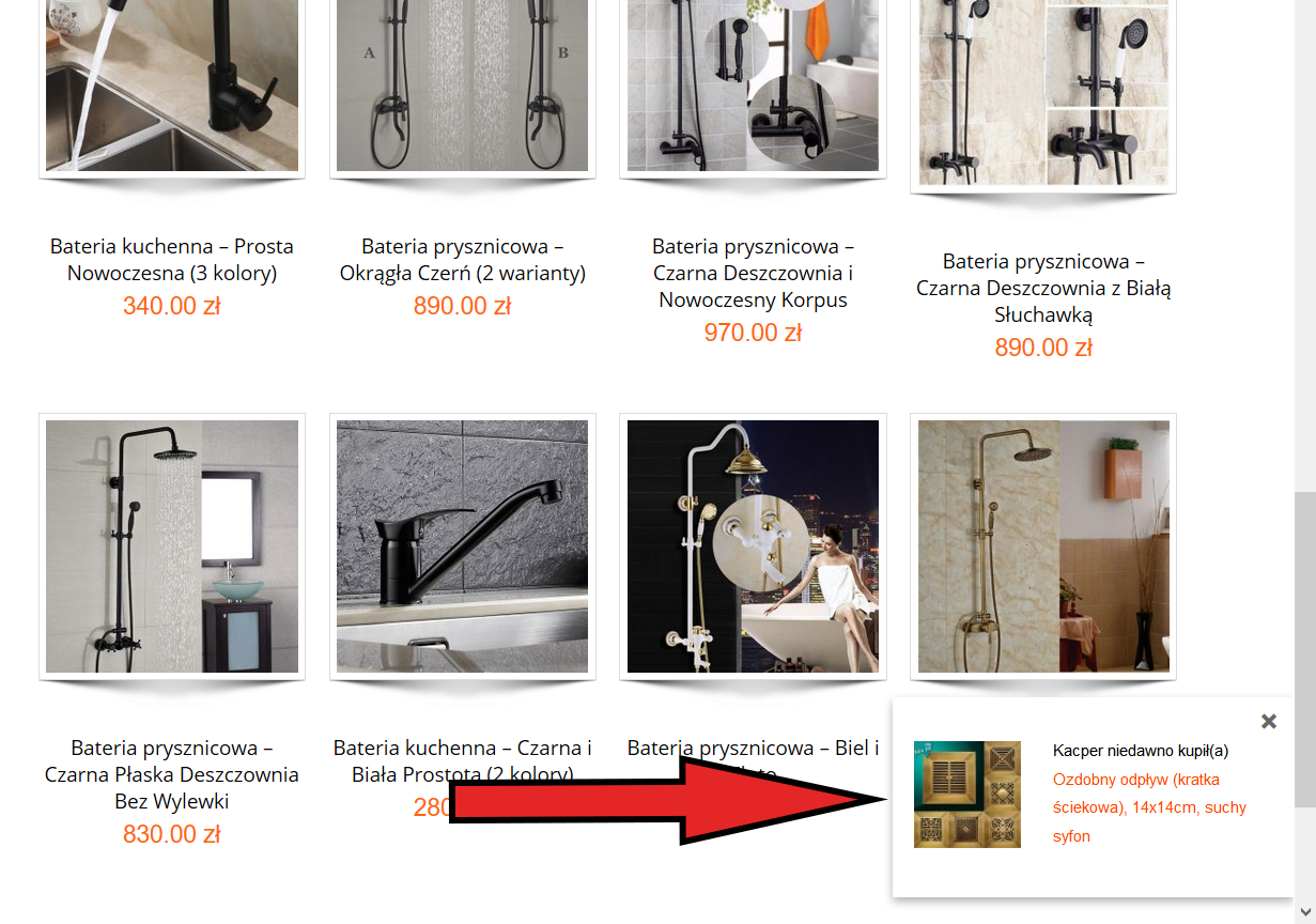Screenshot 1 - Recently Bought This for WooCommerce - store front polish shop.