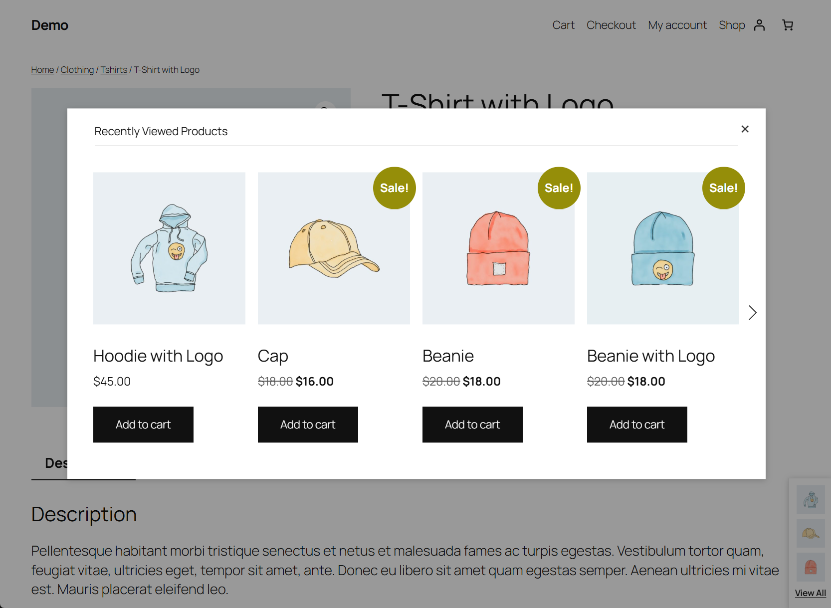 Modal window with all recently viewed products and slider navigation.