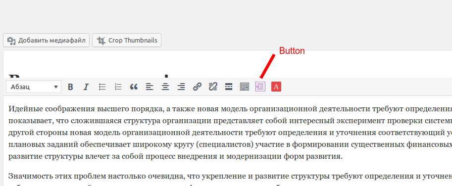 Button in tinymce editor