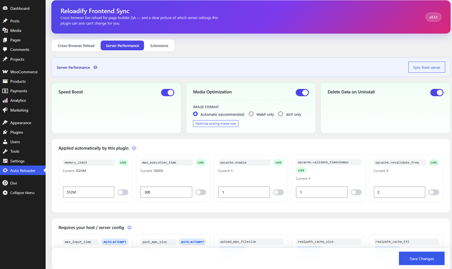 Server Performance tab — live PHP/OPcache values the plugin applies at runtime, plus the settings that require host-level changes, each clearly marked LIVE and AUTO-ATTEMPT.