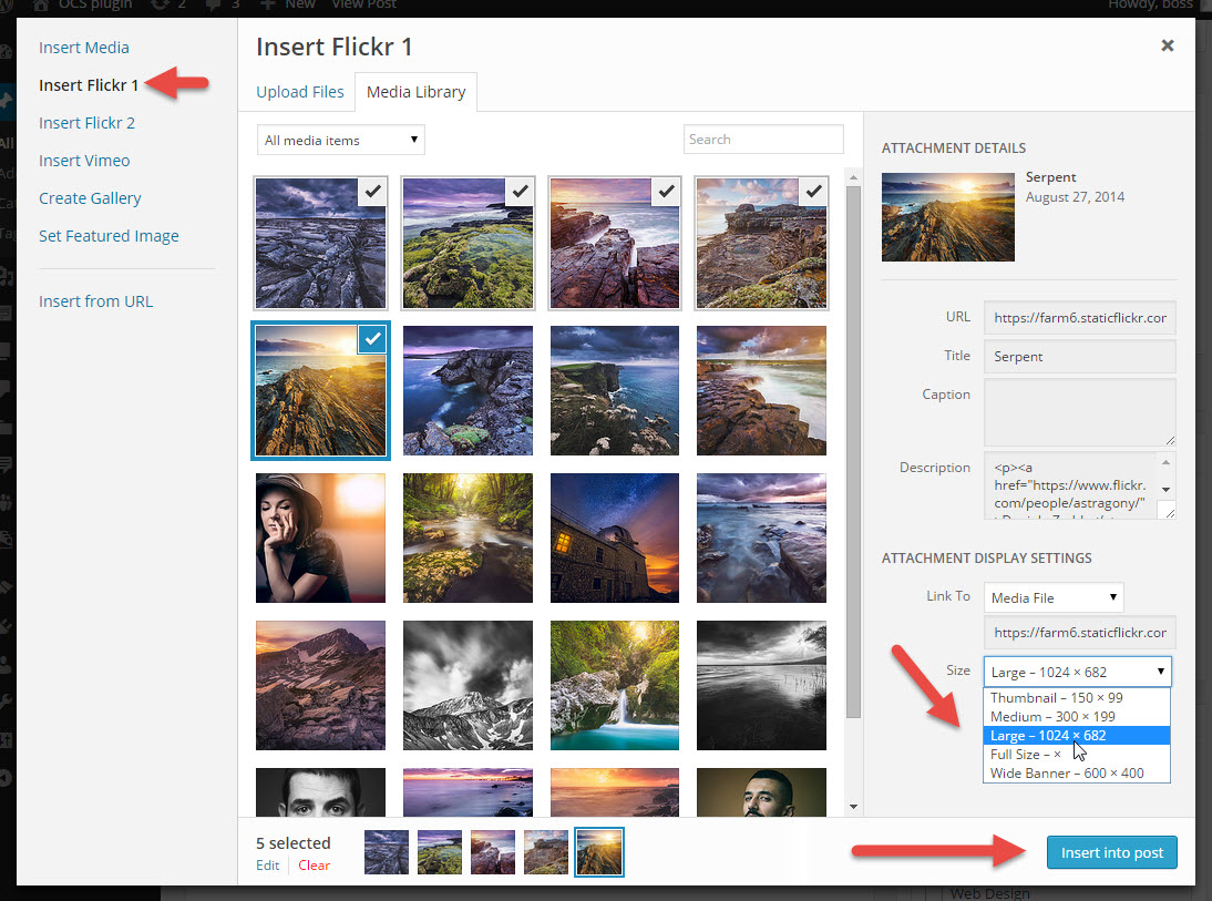 Insert remote images with your wanted size setting, just like any other local images.