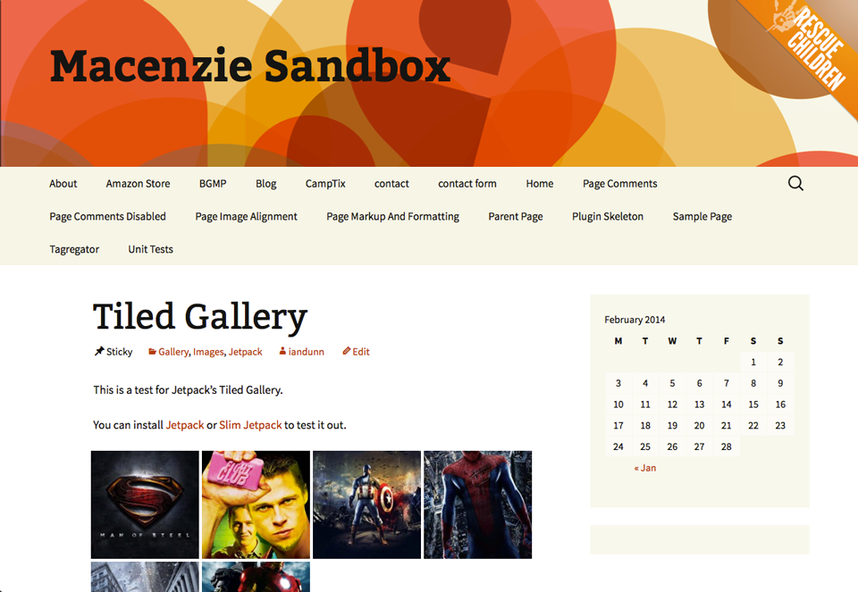 An example of how the banner looks in the Twenty Thirteen theme.