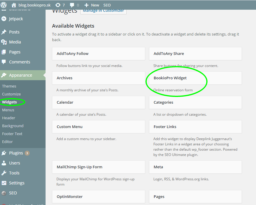 After instalation BookioPro plugin you find it in the section "Appearance" - "Widget". Then add it to your menu.