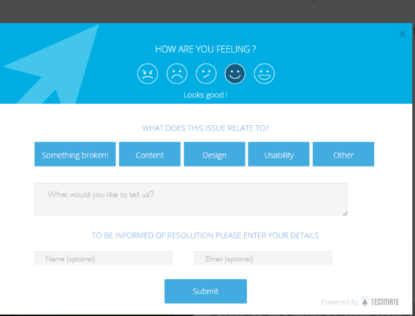 Users will complete the form to provide feedback and the admin will receive an email with the information