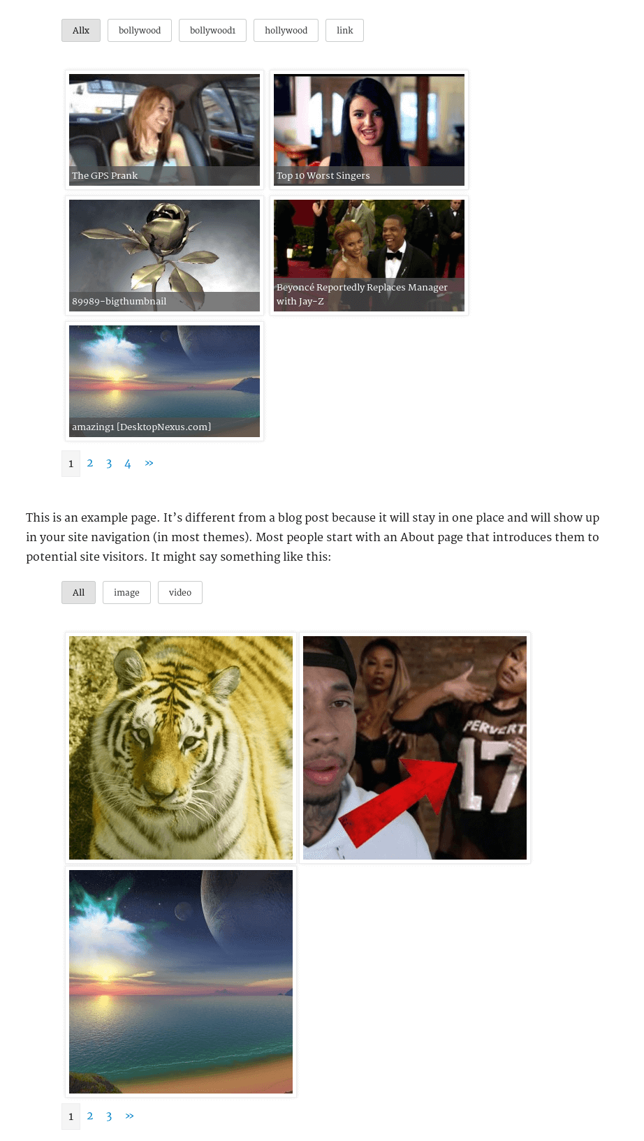 Portfolio Add Media