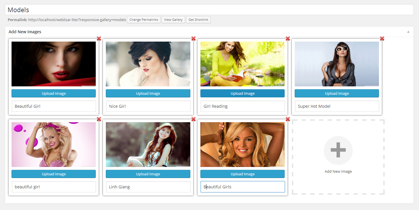 Add Images into Gallery 2