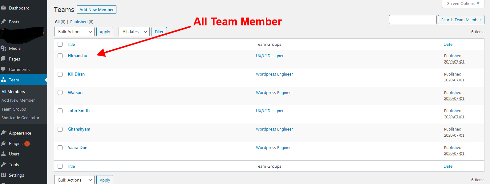 Create Team Member with Groups.