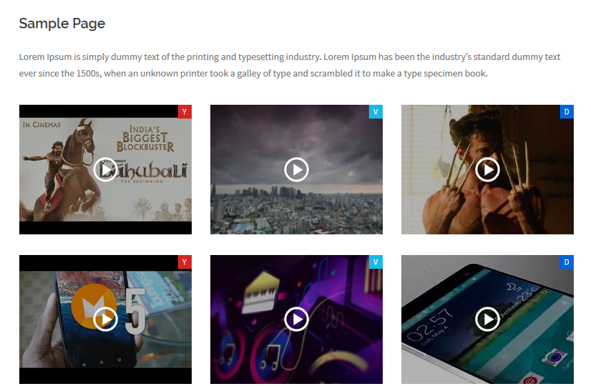 Video Gallery preview.