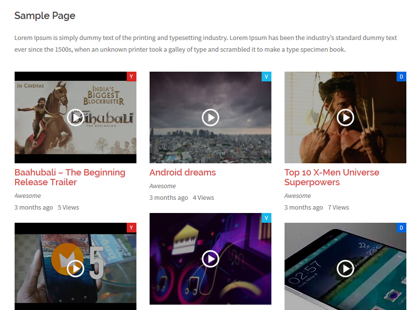 Video Gallery preview with details.
