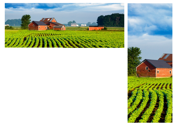 RIU - result 2 - large barn in focus