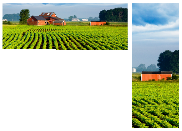 RIU - result 4 - small barn in focus