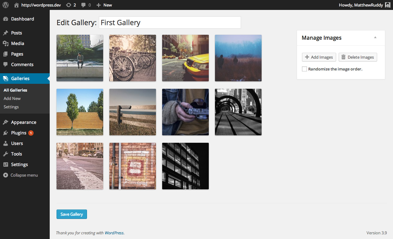 "Edit Gallery" panel. A beautifully simple interface for managing a gallery.