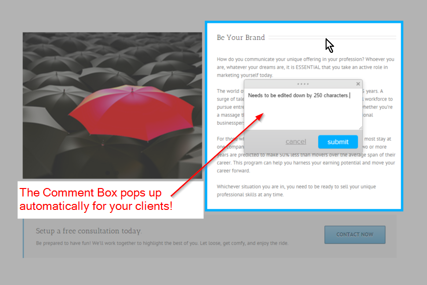 The comment box pops up automatically and the client just starts typing. They click submit and their job is done. Seriously...anyone can use this tool on the front end.