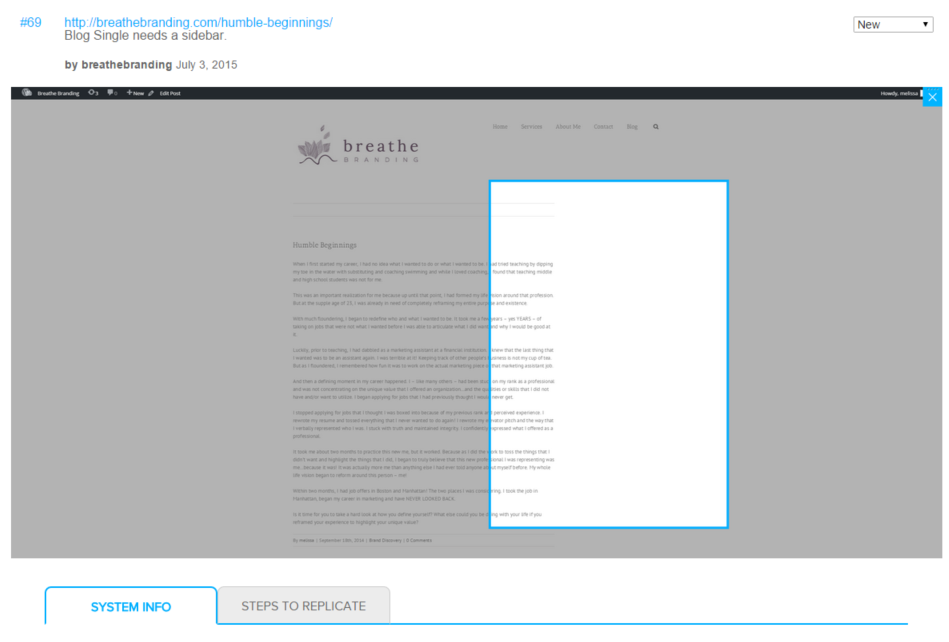 Tickets provide the screenshotted area plus the surrounding area so you can always see the clients' selected part of the page IN CONTEXT, reducing confusion.