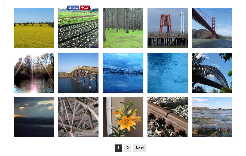 The gallery output features an option to include Facebook and Pinterest buttons along with gallery paging navigation.