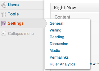 After installation choose the Ruler Analytics option from the Admin Settings menu.