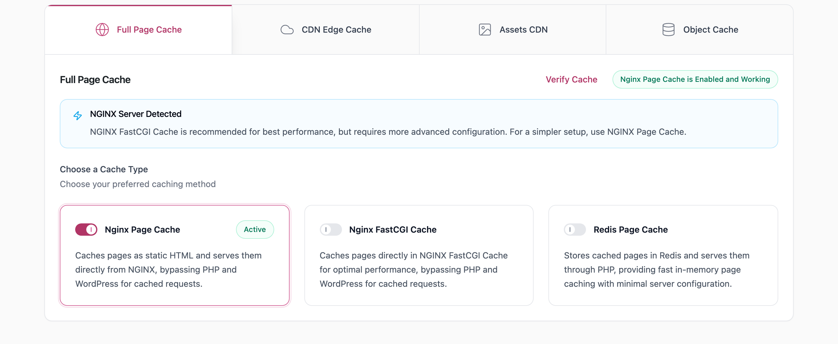 Full Page Cache: RunCache detects your server and offers only the cache types that work