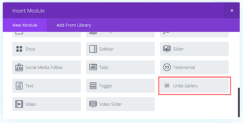Add Unite Gallery module in Divi Page Builder
