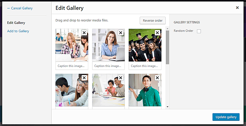 Carousel Gallery Theme