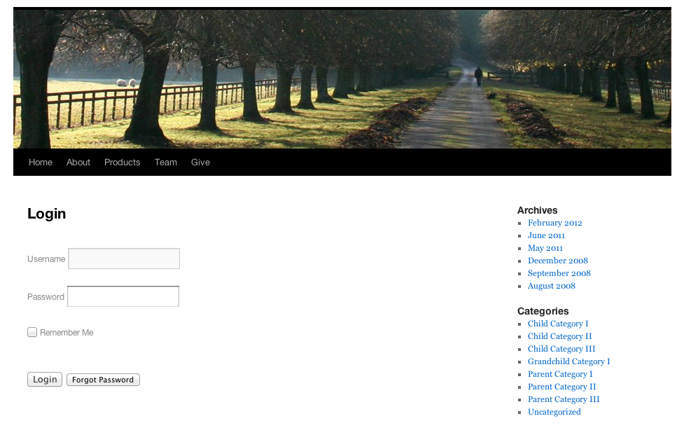 The login page using the TwentyTen theme. There is no additional styling done to this page.