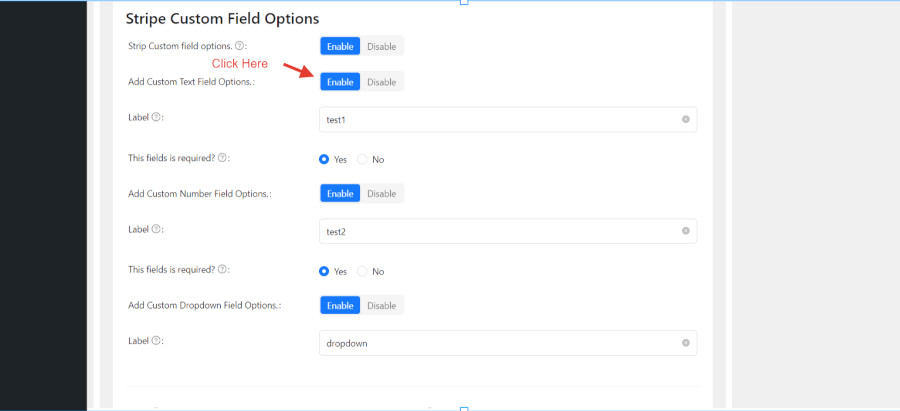Select payment methods to enable on Stripe Checkout