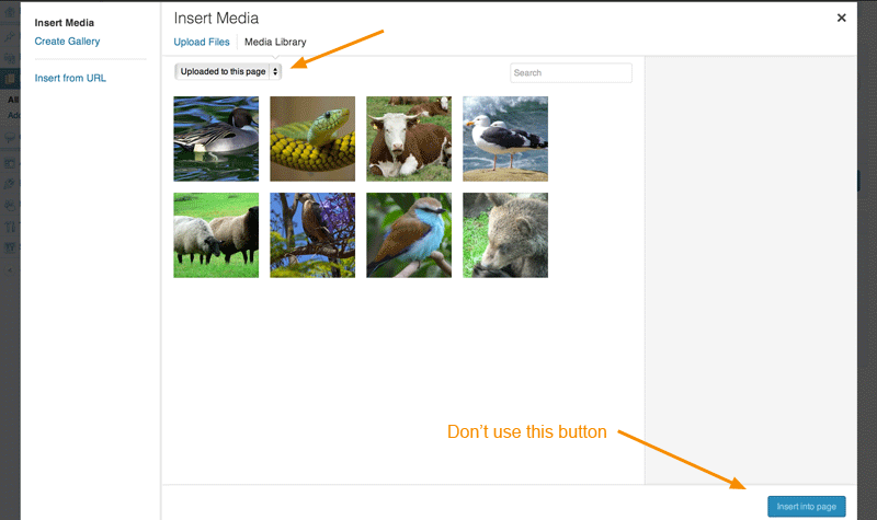 Upload the pictures in which you want the zoom effect when you are editing your page or post. That way they get attached to the post or page. Add the shortcode [sabineszoom] to the text.