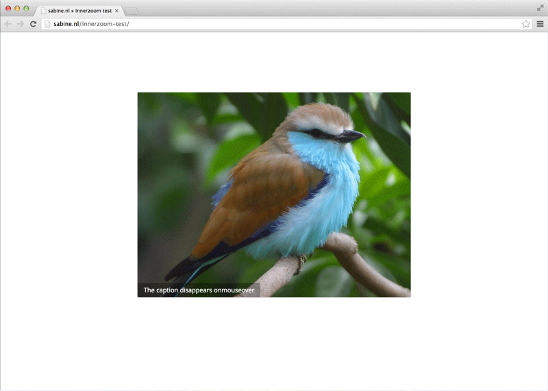 By default the large image is shown