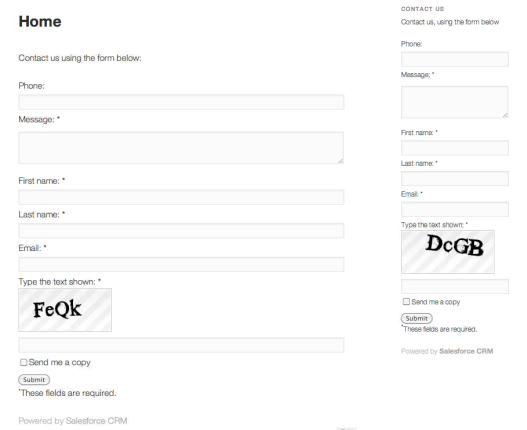 An example form generated with Brilliant Web-to-Lead for Salesforce (with optional CAPTCHA) -- both post and widget forms are shown in the TwentyEleven theme