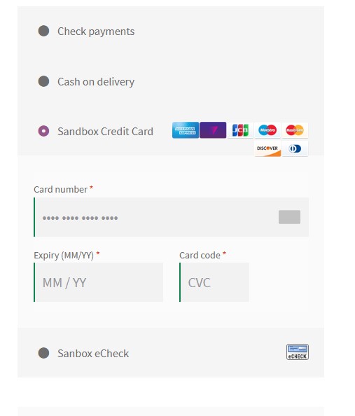 Screenshot of credit card payment form on the checkout page