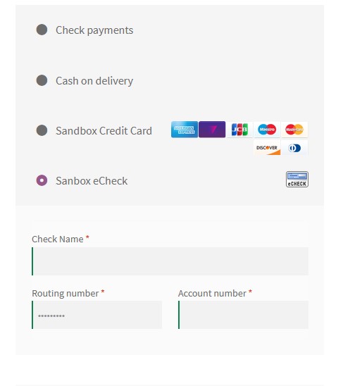 Screenshot of eCheck payment form on the checkout page