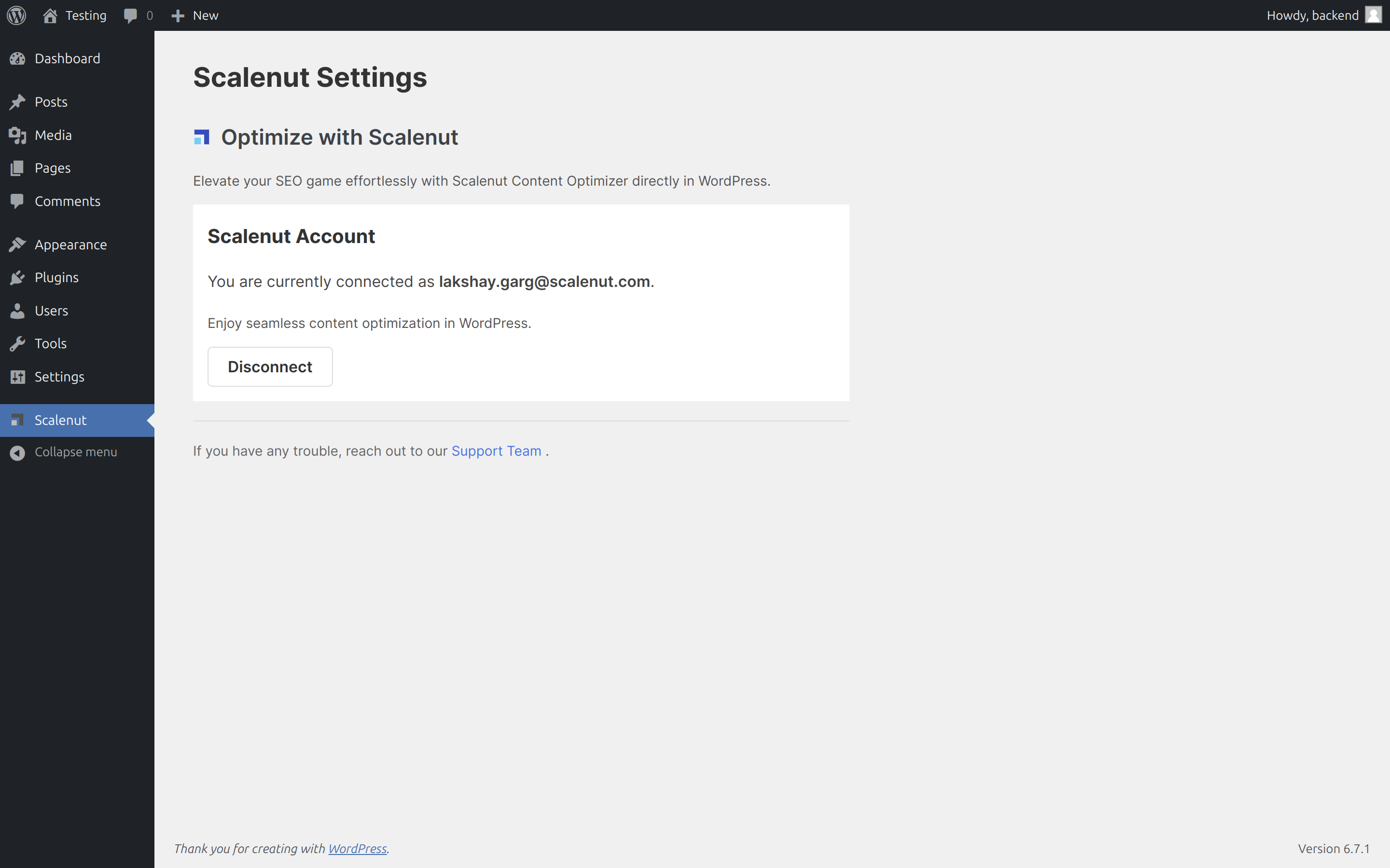 Dashboard view after successful login, showing the Scalenut account connection status and key features.