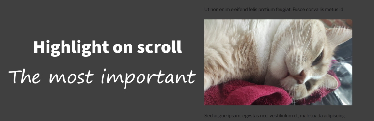 Banner图