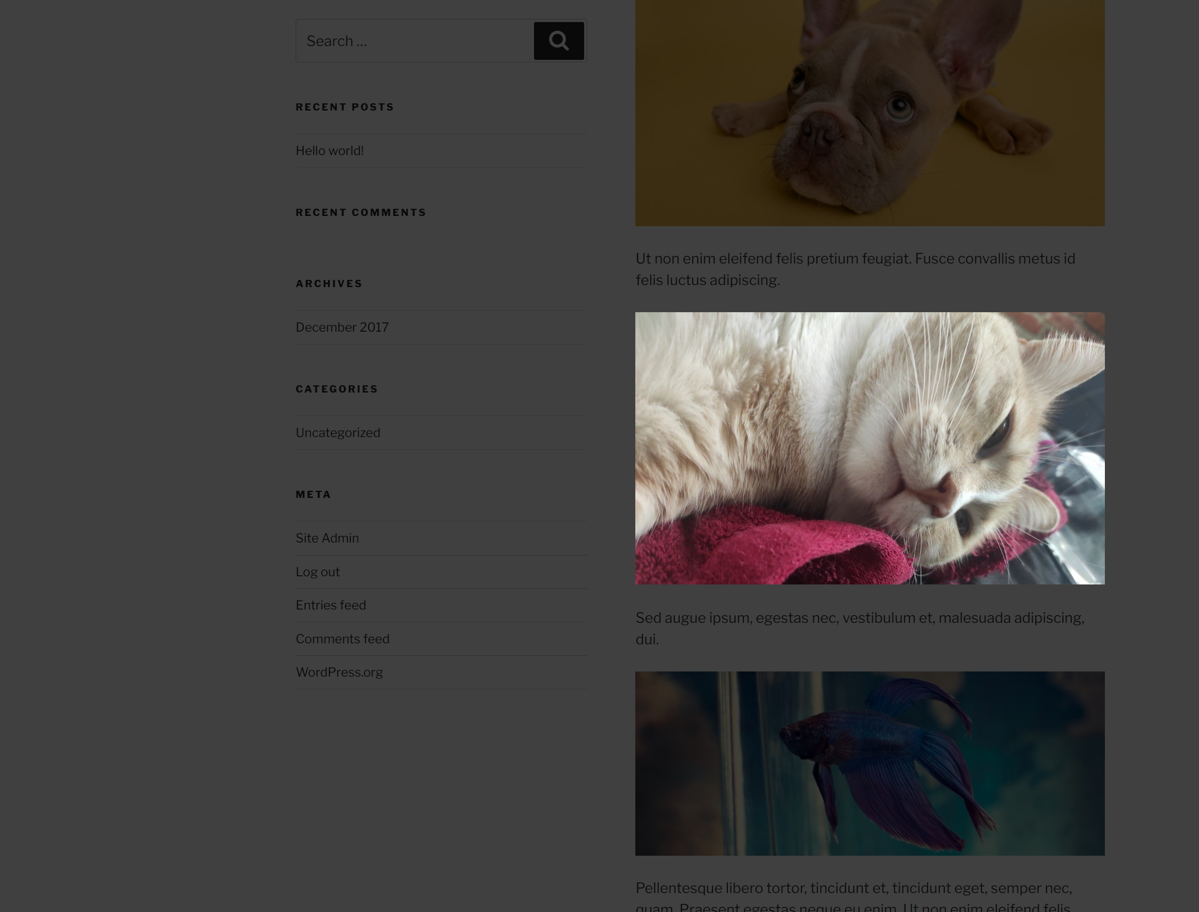 Check Scroll Highlight in action